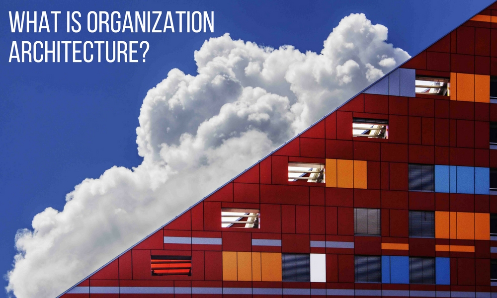 What Is Organizational Architecture? Only Part of the Picture | OTM
